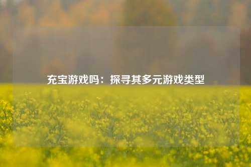 充宝游戏吗:探寻其多元游戏类型