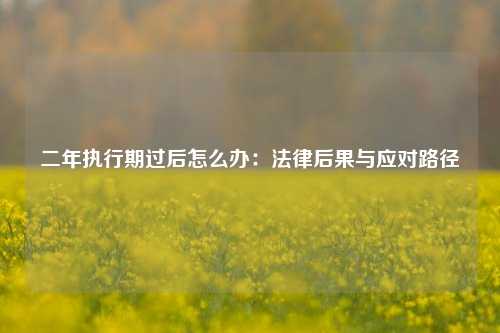 二年执行期过后怎么办：法律后果与应对路径