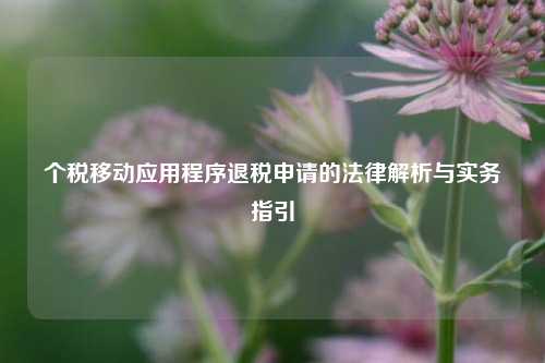 个税移动应用程序退税申请的法律解析与实务指引